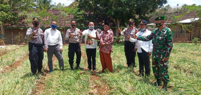 IMG-20200916-WA0030-768x364