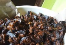 Bekicot, Makanan Ekstrem Penghangat Tubuh