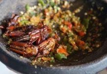 Belalang Penyet, Menu Ekstrim yang Menggugah Selera