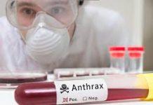 85 Warga Positif Terinfeksi Antraks, Satu Orang Meninggal