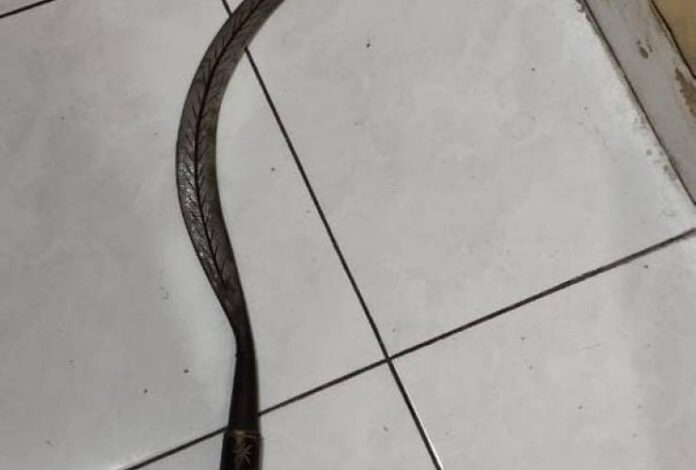 medium_201819_10597_fotoistimewa20231110201819