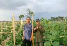 Lakukan Pendampingan, Lasarus Arintoko Optimis Kesejahteraan Petani dan Komoditas Pertanian Akan Meningkat