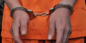 images-19.jpeg-300x150