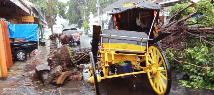 6287738351071_status_IMG-20240104-WA0065