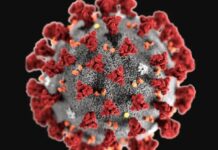 Penularan Kasus Covid-19 Meningkat, Masyarakat Tidak Perlu Panik