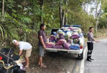 Polisi Bersama Relawan Tabur Serbuk Gergaji di Jalan Jogja-Wonosari