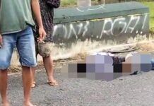 Pemotor Tabrak Pejalan Kaki di Koripan Ponjong, Satu Nyawa Melayang