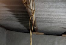 Terjerat Hutang Rentenir, Ibu Rumah Tangga di Nglipar Akhiri Hidupnya Gunakan Tali Tampar Warna Kuning