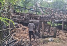 Kandang Ternak di Gunungkidul Hangus Dilalap Jago Merah