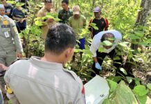 Viral! Kotak Amplop Hajatan Hilang Ditemukan di Ladang