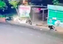 Berawal Perkelahian, Pemotor Tabrak Plakat Es Teh di Depan SMKN 2 Pengasih