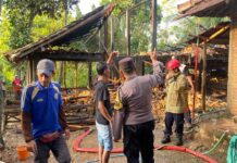 Bakar Sampah di Sekitar Kandang, Hewan Ternak Nyaris Terpanggang