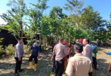 Kebakaran Dapur Rumah di Semanu, Berikut Penyebabnya