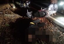 Pemotor Asal Ponjong Dikabarkan Meninggal Dunia Setelah Tabrak Pohon di Rest Area Jatiayu