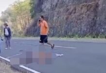 Tabrakan di JJLS Girisubo, Satu Orang Dikabarkan Tak Sadarkan Diri