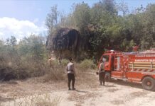 Dipicu Puntung Rokok Yang Masih Menyala, Lahan 2.000 Meter Persegi di Piyungan Terbakar