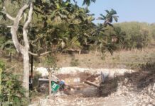 Tower Telekomunikasi Tak Berizin Berdiri di Kalurahan Kemadang, Bengini Respon Arisandy Purba