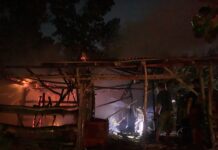 Satu Ekor Sapi Kabur Dalam Peristiwa Kebakaran Kandang di Nglipar