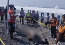 Mayat Pria Tanpa Identitas Ditemukan di Tepi Pantai Garongan